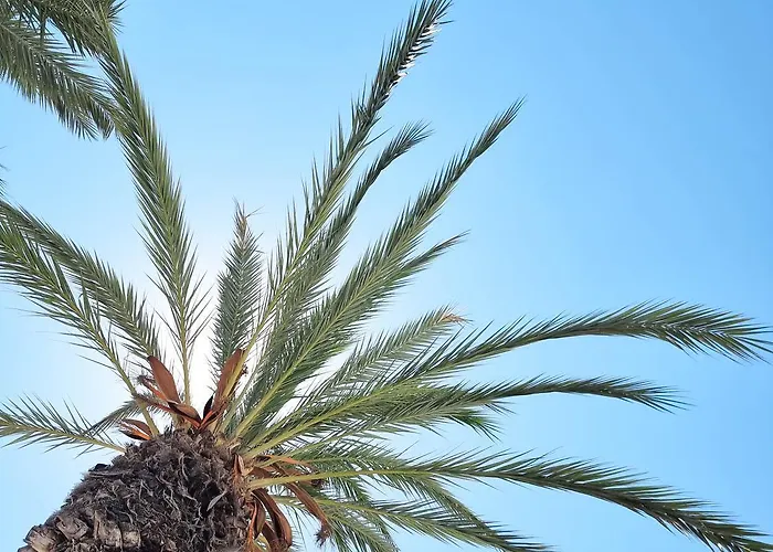 Daire Casa Dorsya - Near The Beach, Torrevieja, Spain *